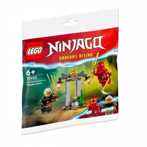 Kai and Rapton's Temple Battle