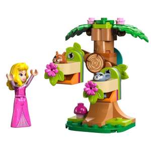 Il parco giochi nel bosco di Aurora