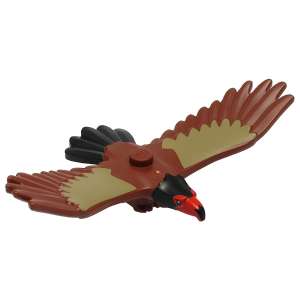 Aquila con testa rossa e nera, piume di coda nere e motivo di ali marrone chiaro