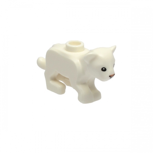 Cucciolo di leone bianco