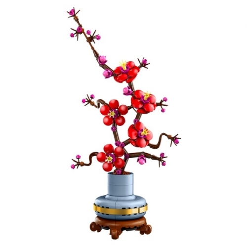 Albicocco giapponese