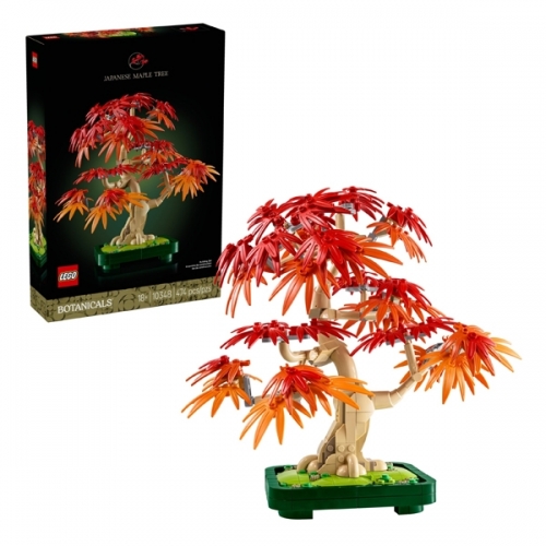 Bonsai di acero rosso giapponese