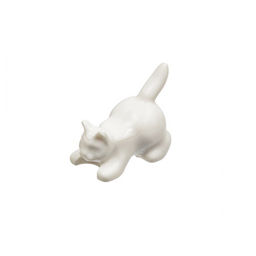 Cat Crouching