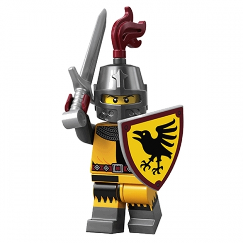 Cavaliere del torneo