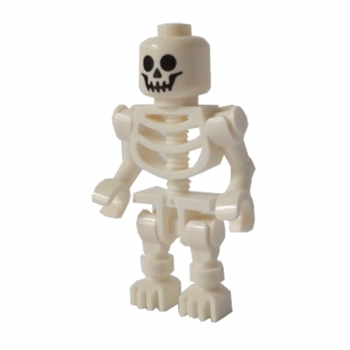 Skeleton
