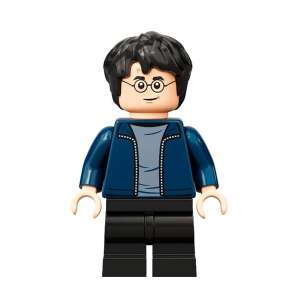 Harry Potter, Dark Blue Open