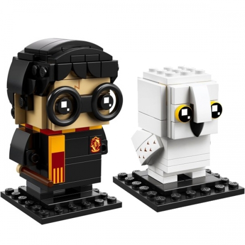 Harry Potter & Hedwig