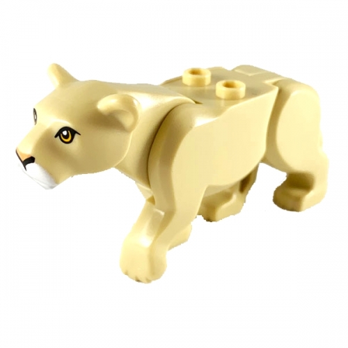 Leonessa grande con occhi arancioni chiari, naso rosa brillante e muso bianco