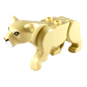 Leonessa grande con occhi arancioni chiari, naso rosa brillante e muso bianco