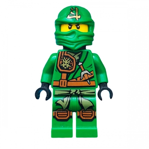 Lloyd (Jungle Robe) - Tournament of Elements