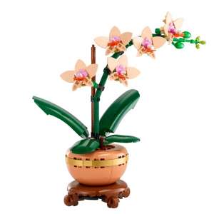 Mini-orchidea