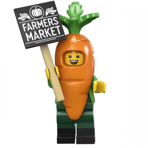 Ragazzo in Costume da Carota