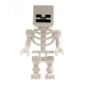 Skeleton with Cube Skull