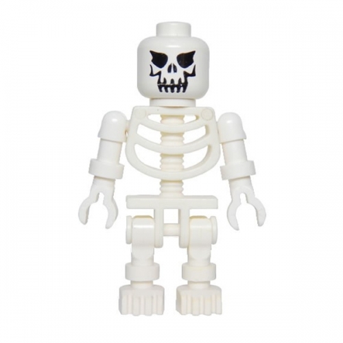 Skeleton with Evil Skull