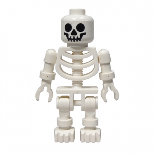 Skeleton with Standard Skull