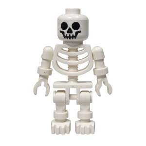 Skeleton with Standard Skull